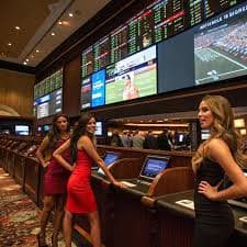 Hướng dẫn từng bước tham gia phòng Bingo trực tuyến tại xsdno